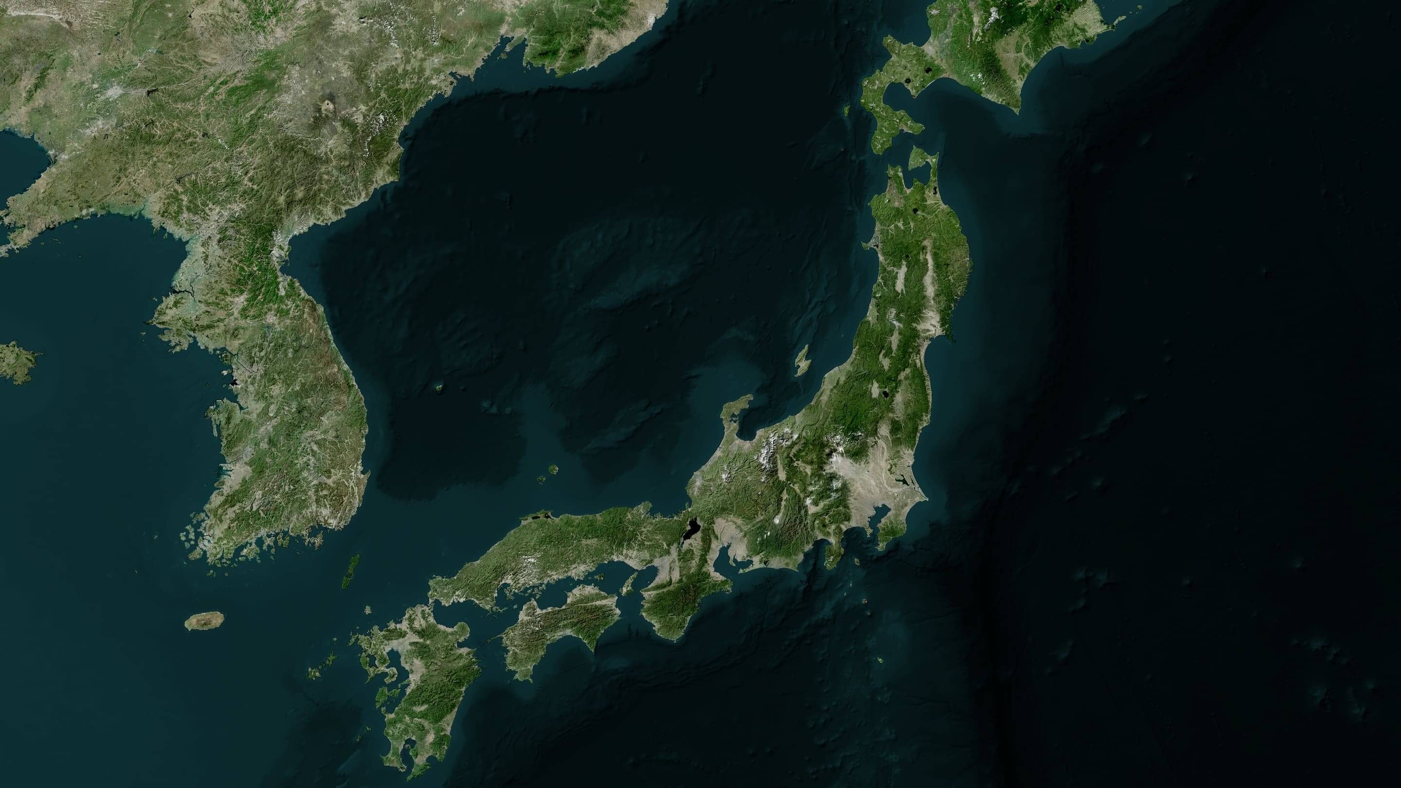 生成AIの活用事例【日本】